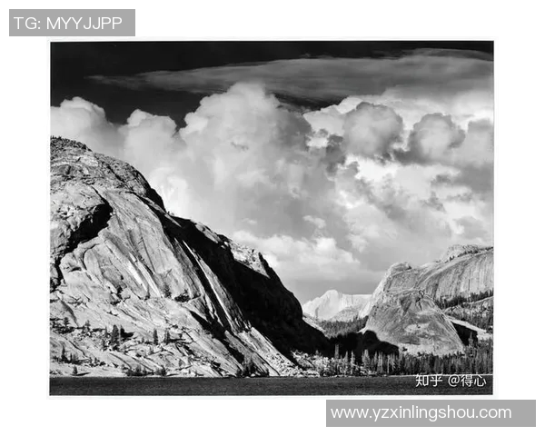 亚当斯：探索科学与人文交汇的智慧之旅与未来展望